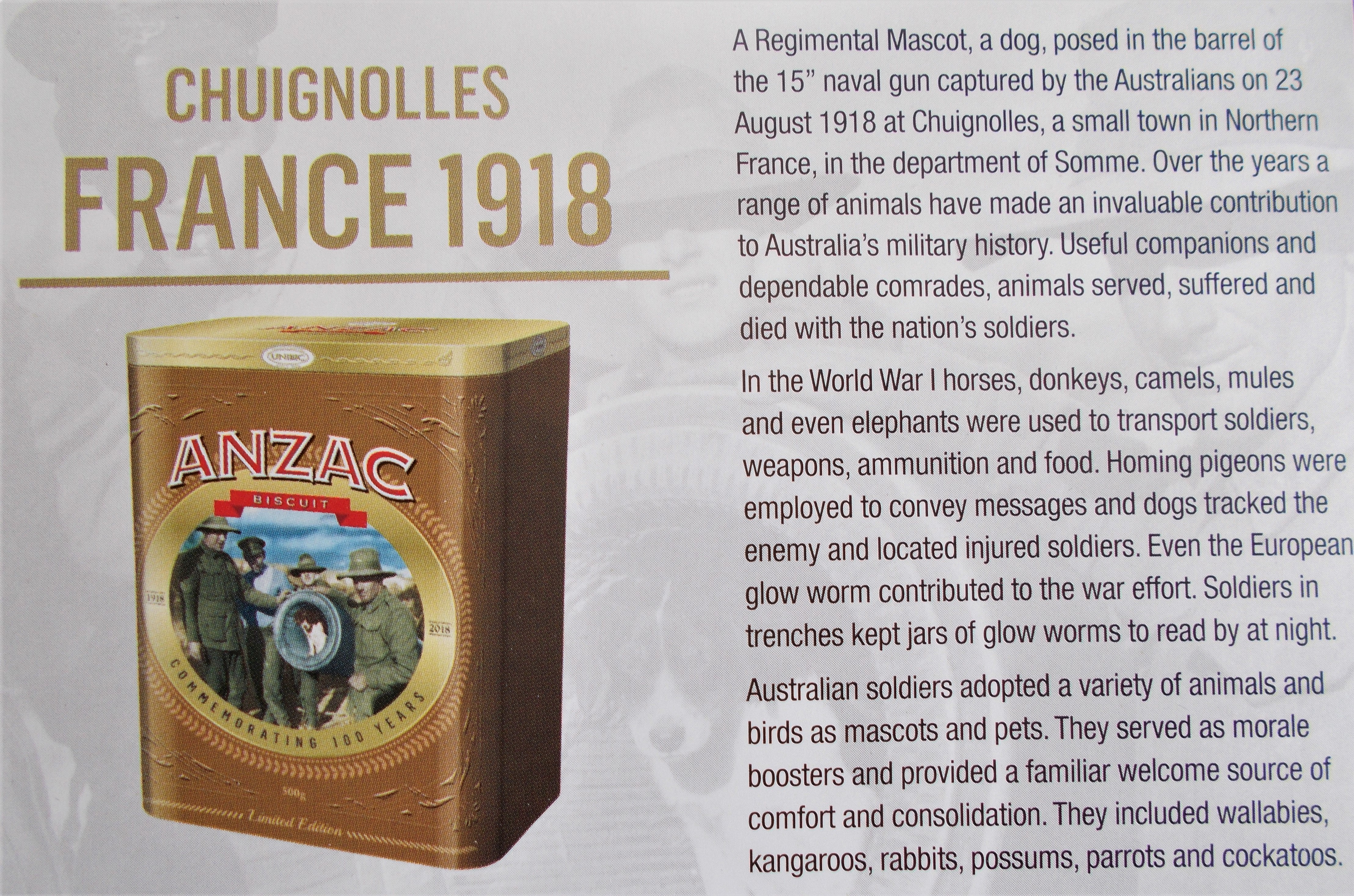 ANZAC_9a