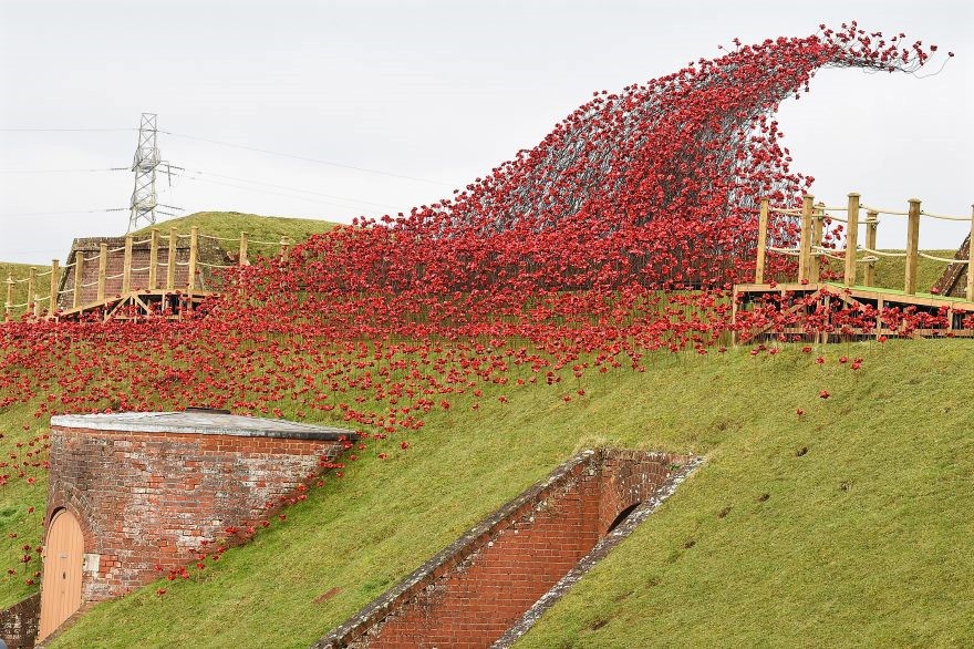 Fort_Nelson_Poppy_1