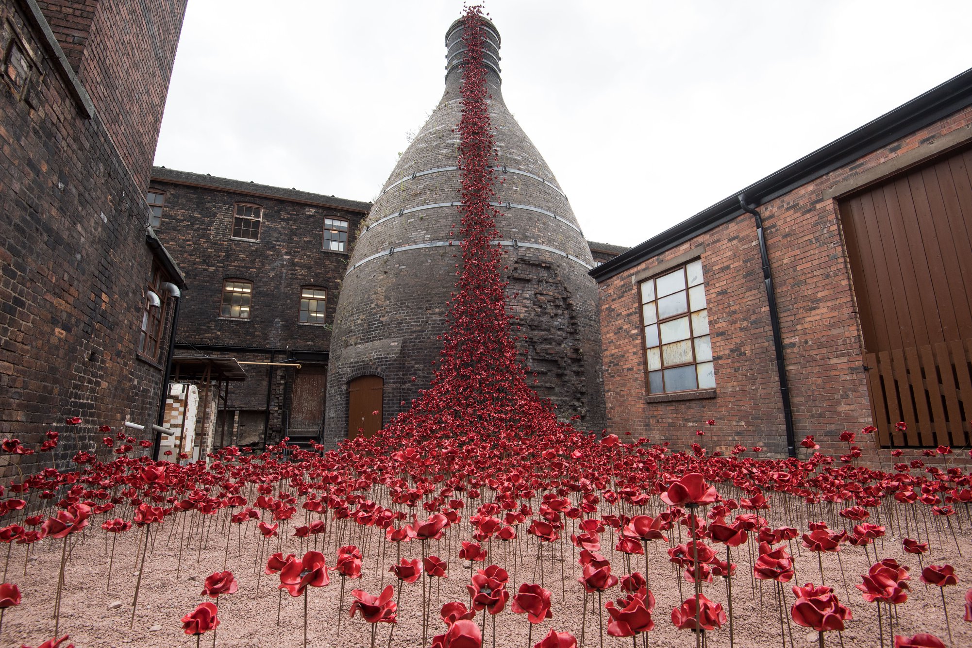 Middleport_Pottery,_Stoke_Poppies_2018c