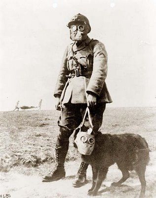 gas_mask_dog_1