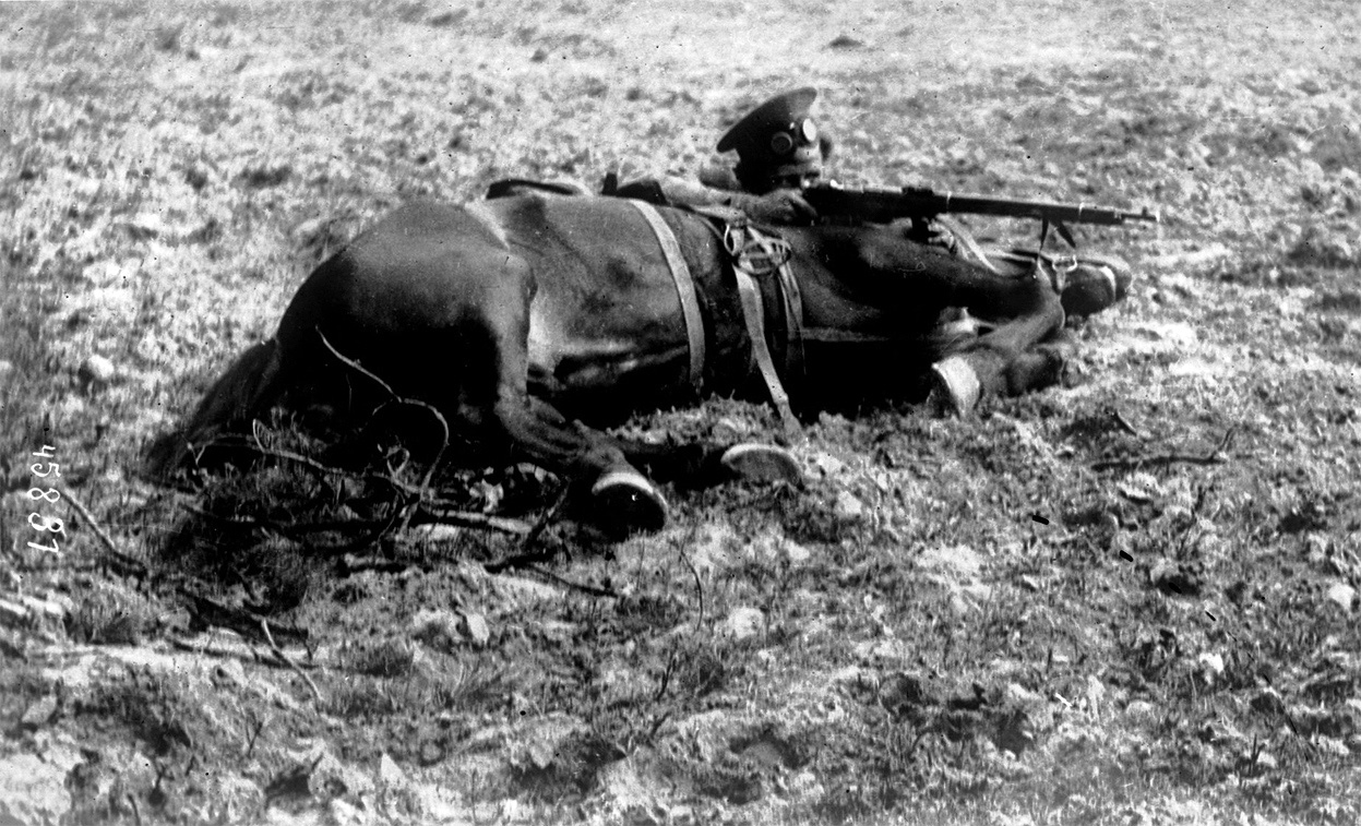 horse_2