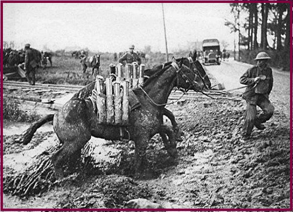 horses_and_shells_b_WW1_1_