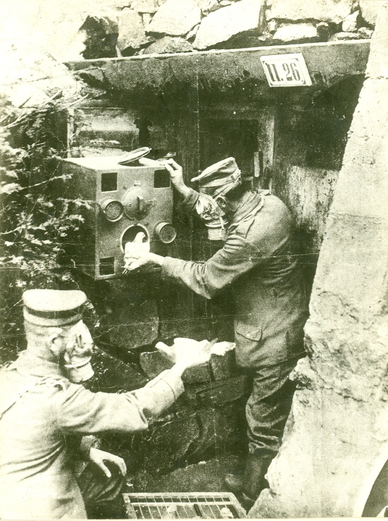 pigeons_3_ww1