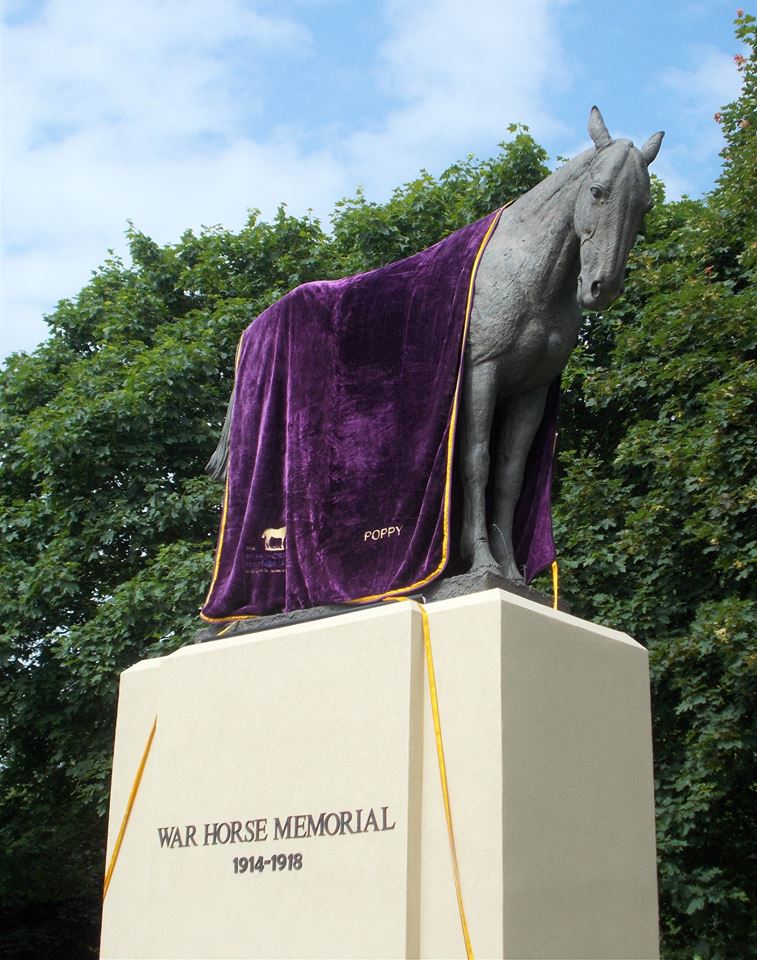 war_horse_for_website_1